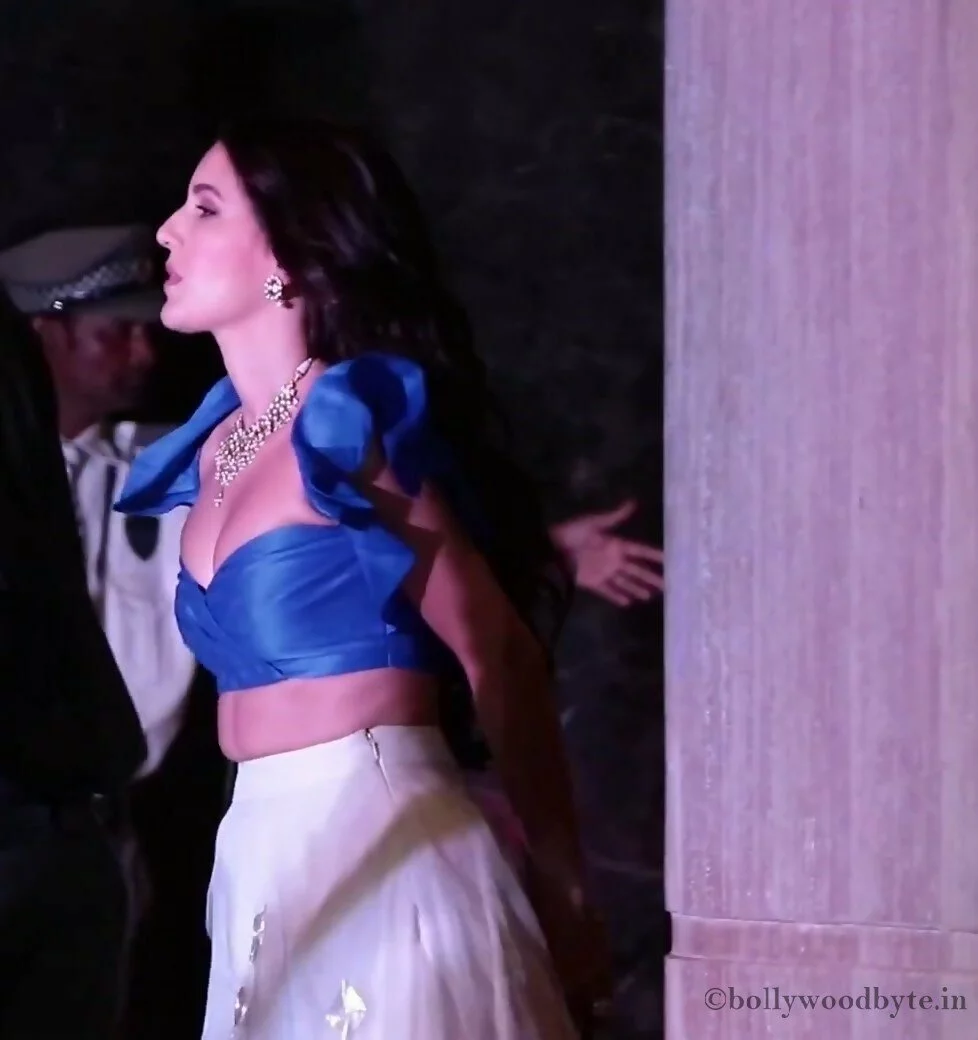Isabelle Kaif at sonam kapoor sangeet ceremony